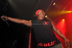 Black-Family-Reunion-2011-23