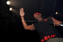 Black-Family-Reunion-2011-25