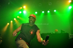 Black-Family-Reunion-2011-27