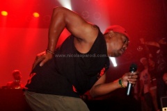 Black-Family-Reunion-2011-30