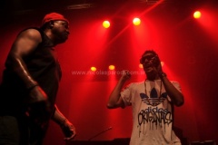 Black-Family-Reunion-2011-33