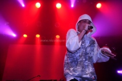 Black-Family-Reunion-2011-4