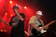 Black-Family-Reunion-2011-7