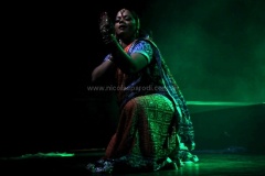 bollywoodfest-15