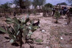 Chaco-y-Formosa-3