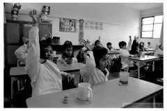 Colegio-8