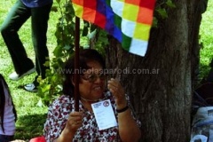 Cumbre-Mar-Del-Plata-4