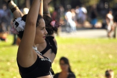 DSC_0723