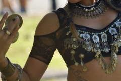 DSC_0771