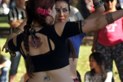 DSC_0791