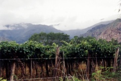 1_Jujuy-y-Salta-32