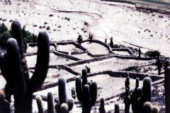 Jujuy-y-Salta-14