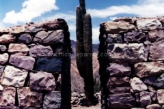 Jujuy-y-Salta-16
