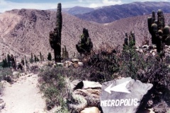 Jujuy-y-Salta-17