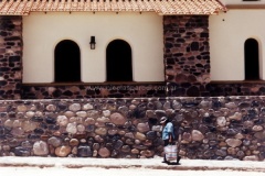 Jujuy-y-Salta-31
