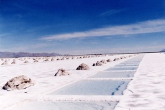 Jujuy-y-Salta-6
