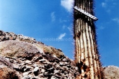 Jujuy-y-Salta-7