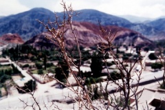 Jujuy-y-Salta-8