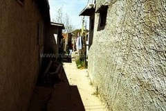 1untitled-5_std-1