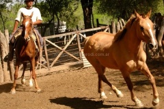 San-Antonio-de-Areco-14