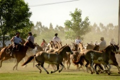 San-Antonio-de-Areco-23
