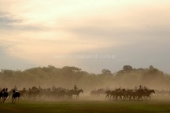 San-Antonio-de-Areco-24