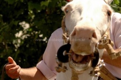 San-Antonio-de-Areco-29