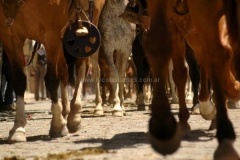 San-Antonio-de-Areco-30