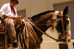 San-Antonio-de-Areco-35