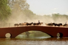 San-Antonio-de-Areco-38