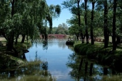 San-Antonio-de-Areco-8
