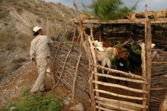 El-Zapallar-24